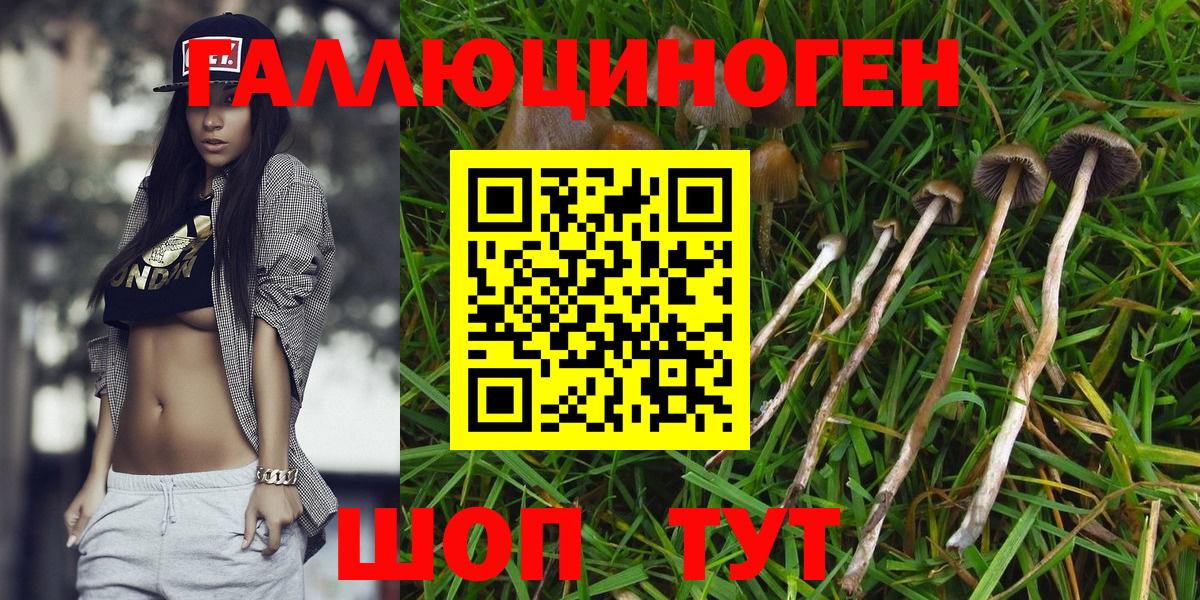 Псилоцибиновые грибы мицелий Верхний Уфалей